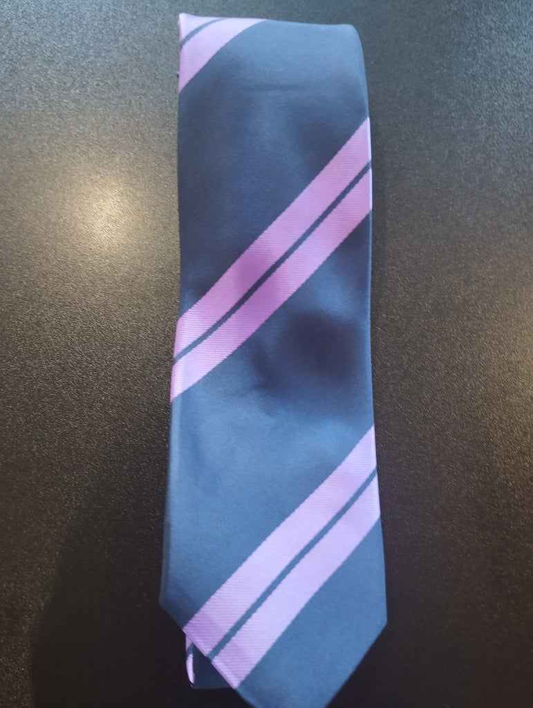 The Excelsior Academy NEW Year 7 Tie 26/27