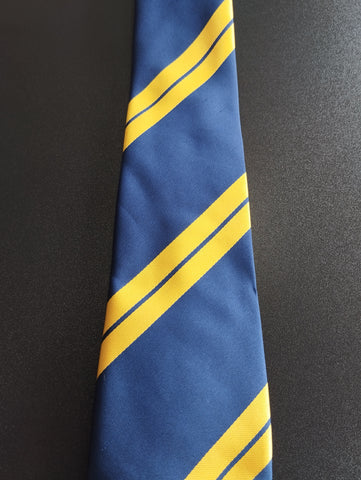 The Excelsior Academy NEW Year 7 Tie 25/26